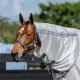 Horseware Amigo Bug Rug XL Plus